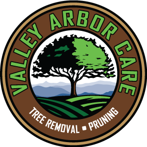 logo-arbor1