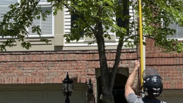 Tree Pruning Service in Warrenton, VA