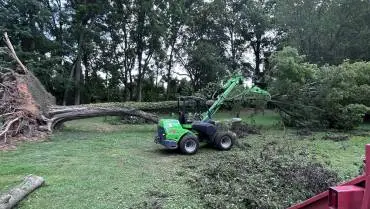 Storm Damage Tree Removal in Warrenton, VA