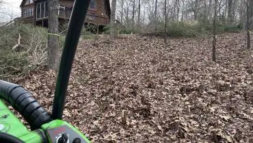 Customized Land Clearing & Tree Clearing Services in Warrenton, VA