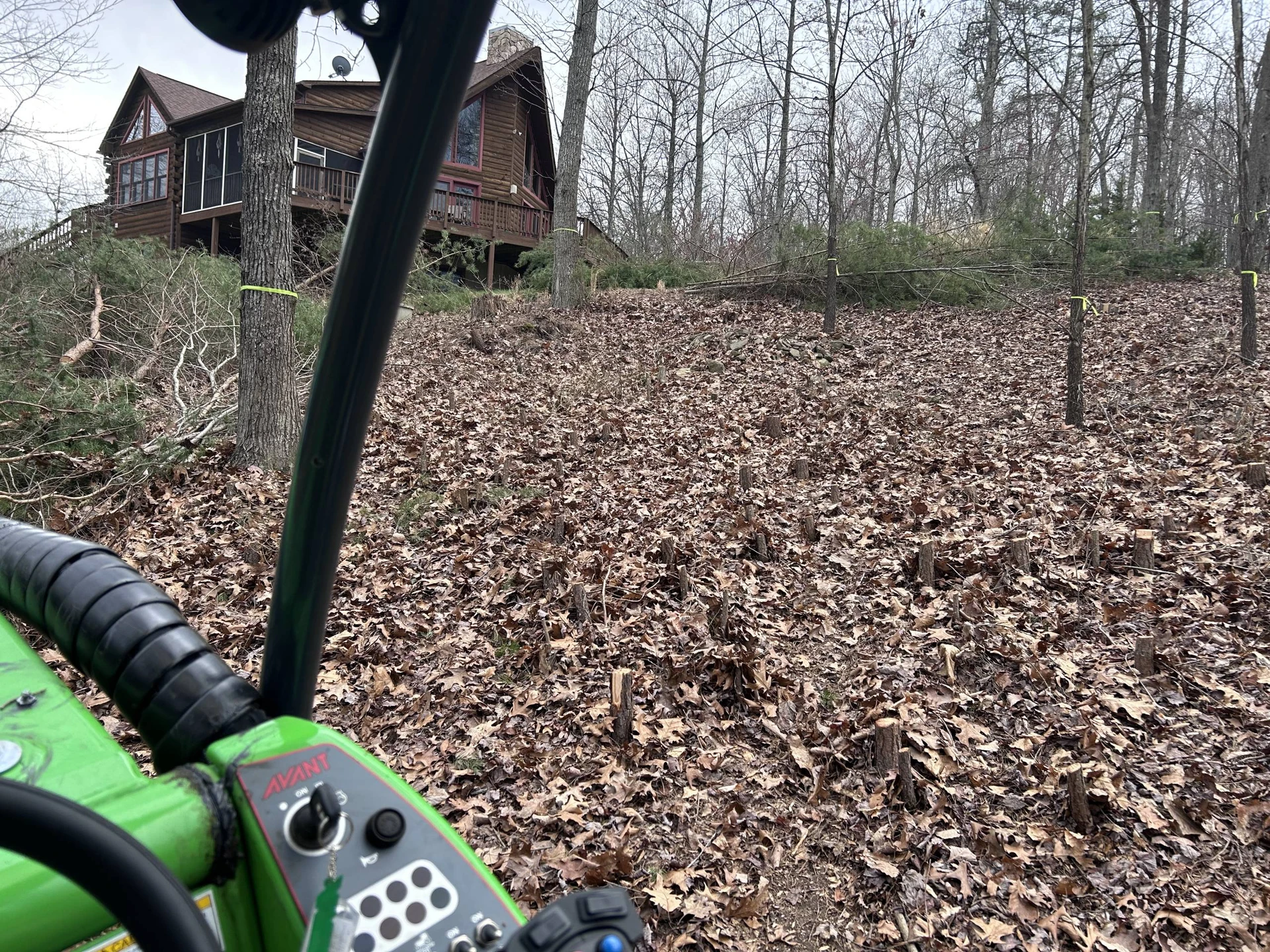 Customized Lot Clearing
