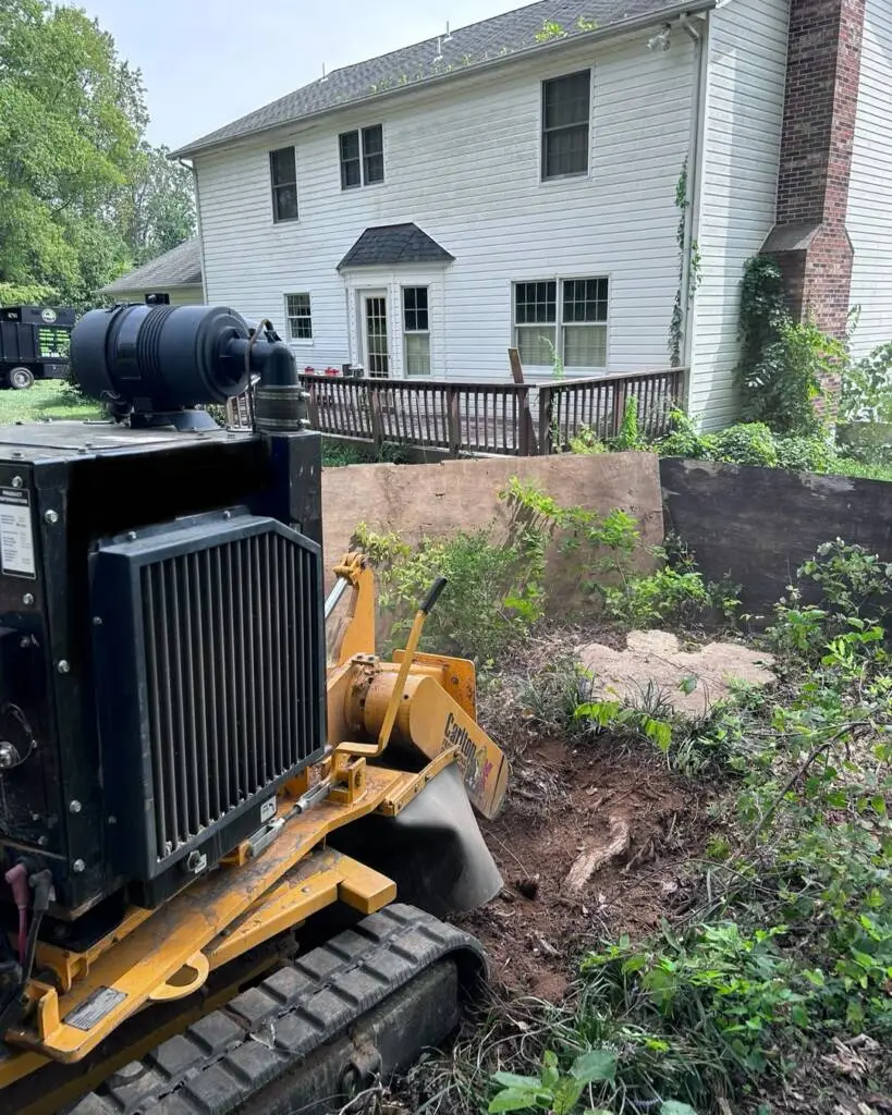 stump grinding