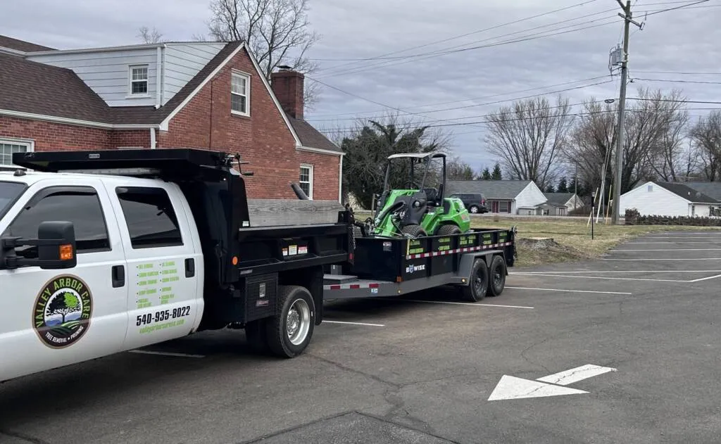 Hiring a Tree Removal Service in Warrenton, VA? Ask These 10 Questions!