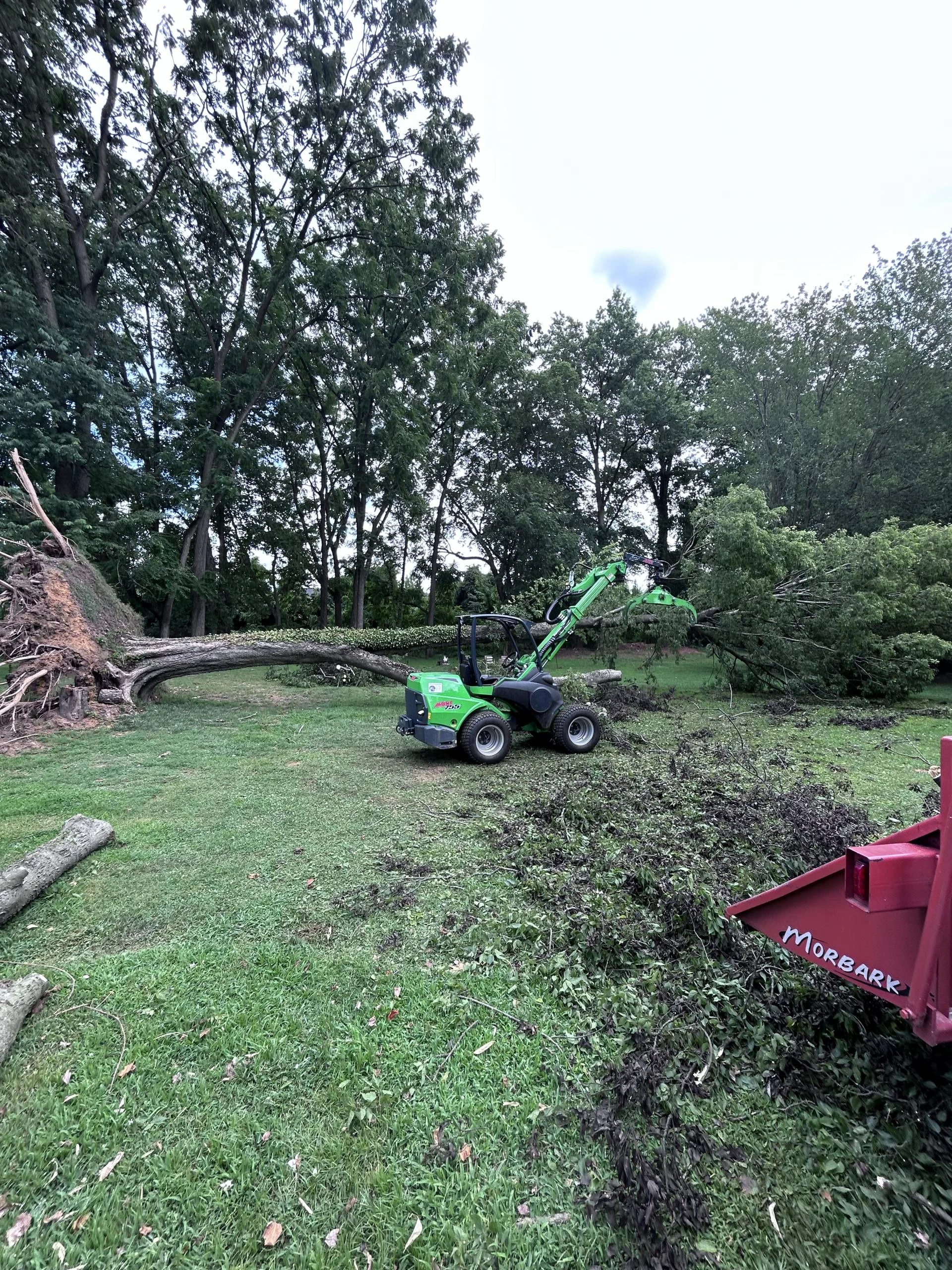 Storm Damage Tree Removal